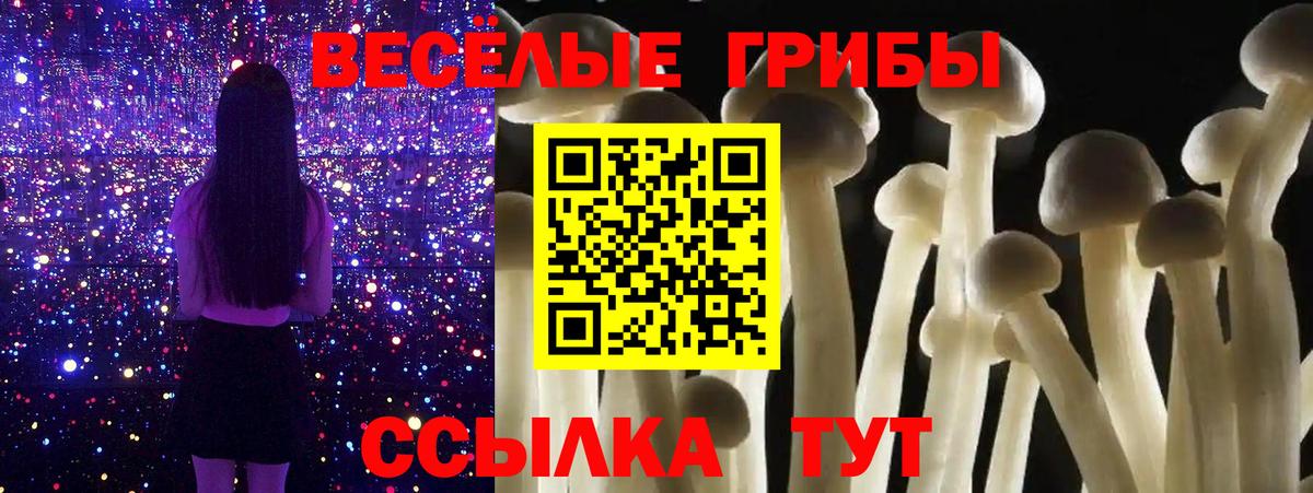 Псилоцибиновые грибы прущие грибы  Вход с VPN  Саров 