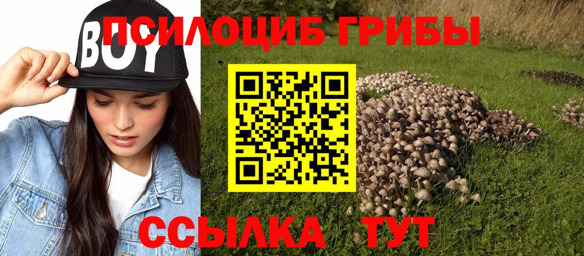 Псилоцибиновые грибы GOLDEN TEACHER Саров