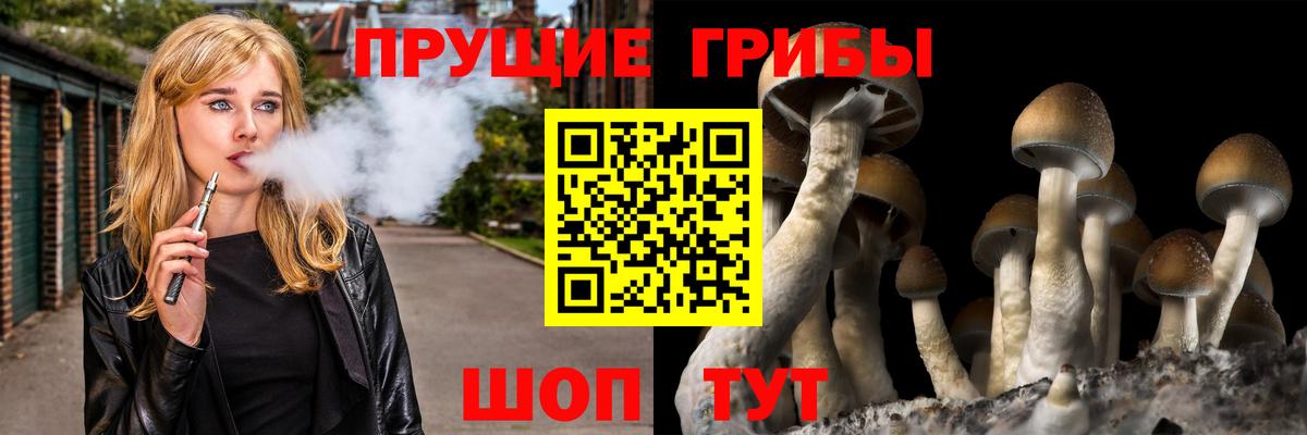Альфа ПВП СК   Вход с VPN  Марихуана  КОКАИН  Саров  ГАШ  Меф   MDMA 